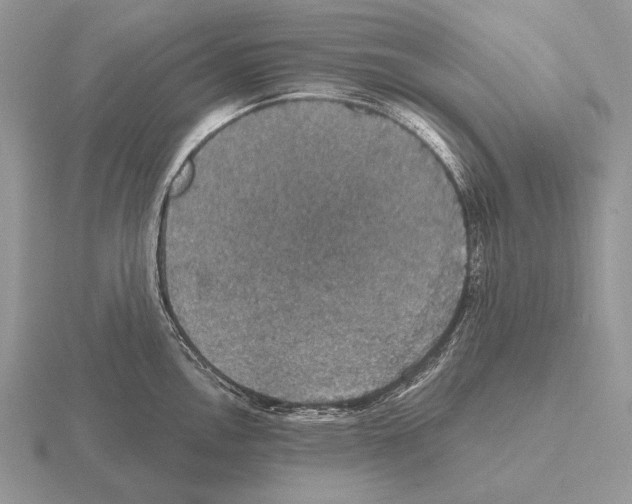 X0000115401146200912151515