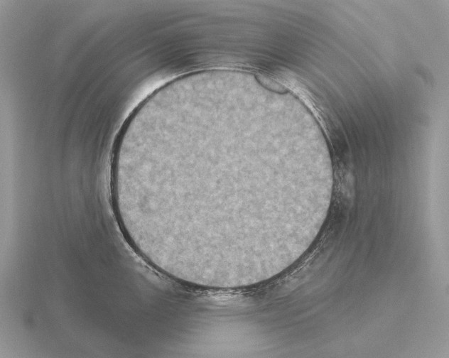 X0000115401147200912151515