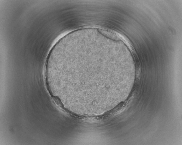 X0000115401149200912151515