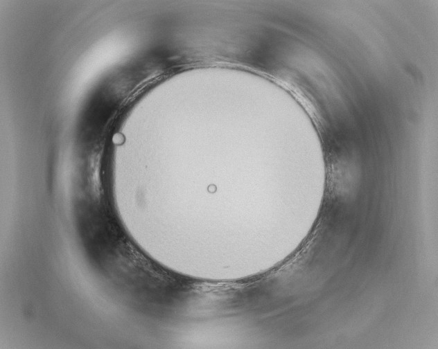 X0000115401150200912151515