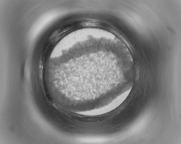 X0000115401151200912151515