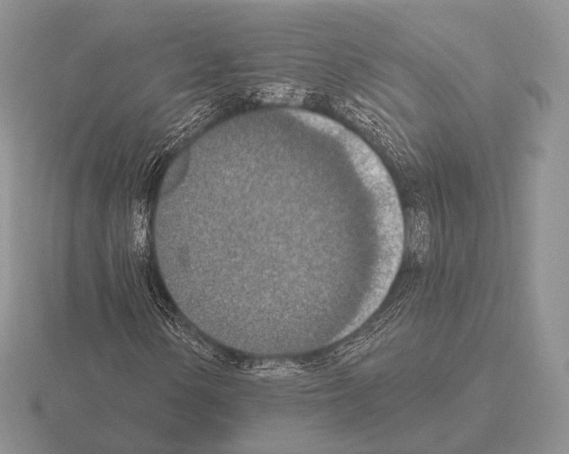 X0000115401154200912151515