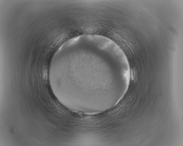 X0000115401155200912151515