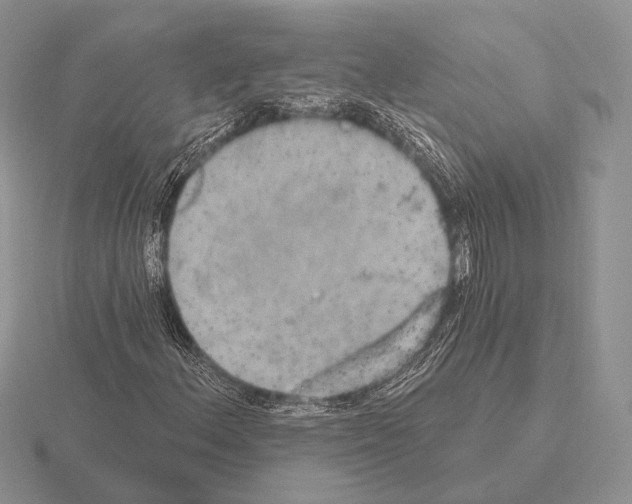 X0000115401156200912151515