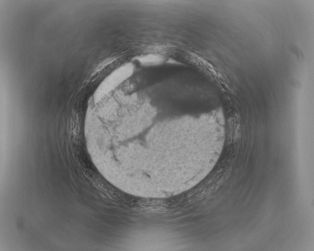 X0000115401158200912151515