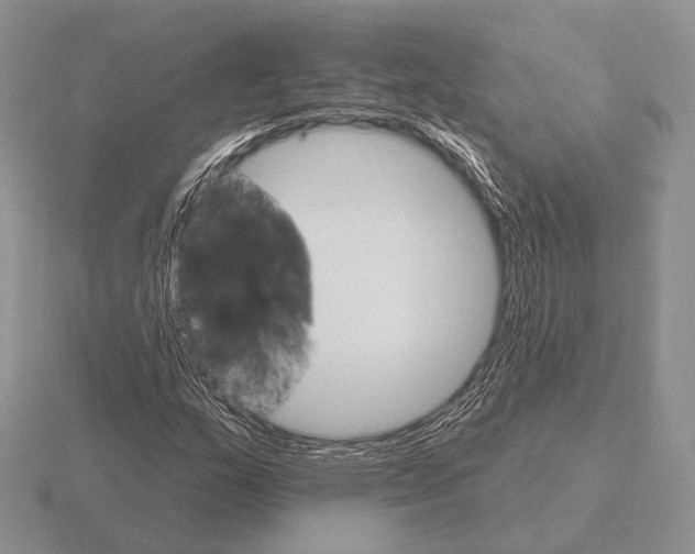 X0000115401159200912151515