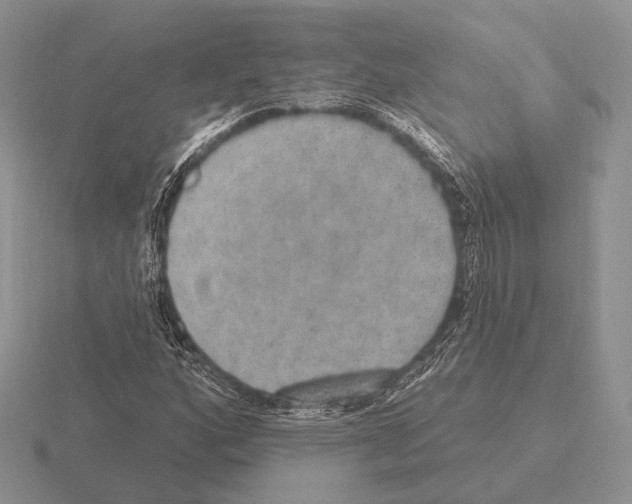 X0000115401160200912151515