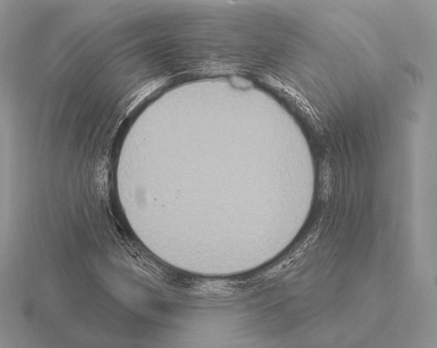 X0000115401162200912151515