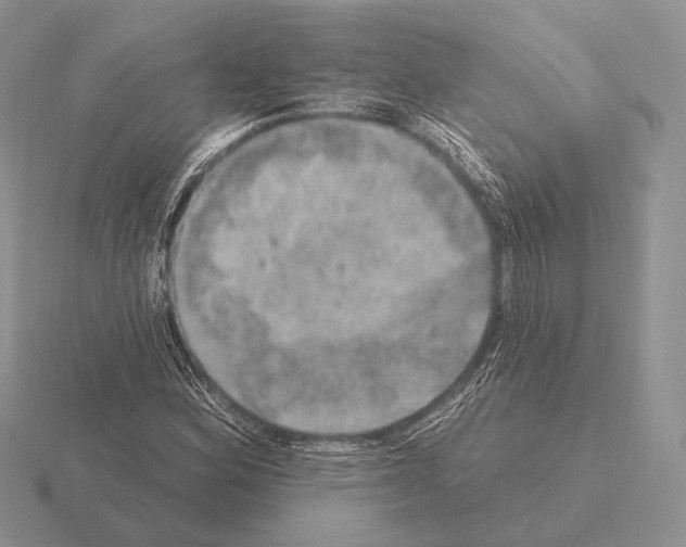 X0000115401164200912151515