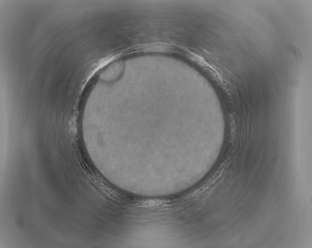 X0000115401166200912151515