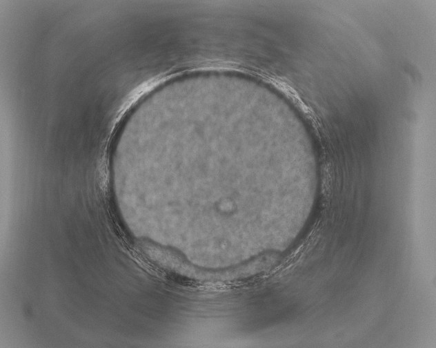 X0000115401167200912151515