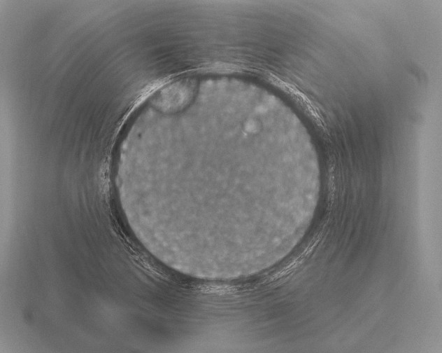 X0000115401170200912151514