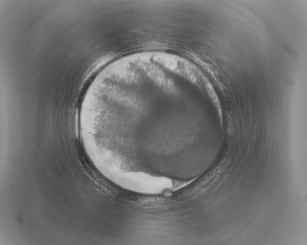 X0000115401171200912151514