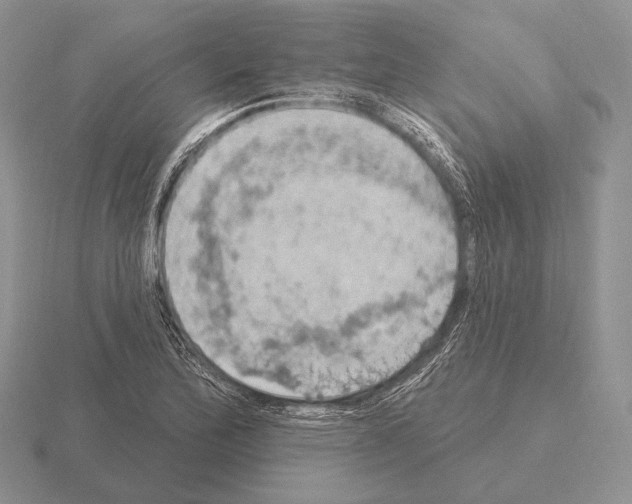 X0000115401172200912151514