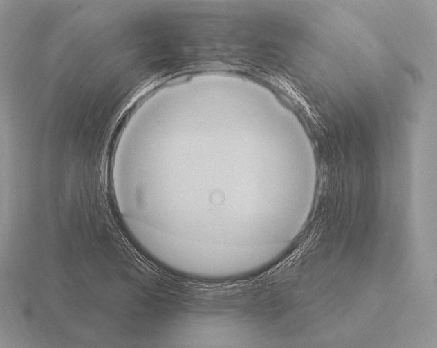 X0000115401173200912151514