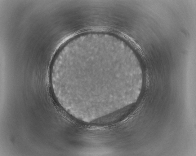 X0000115401174200912151514