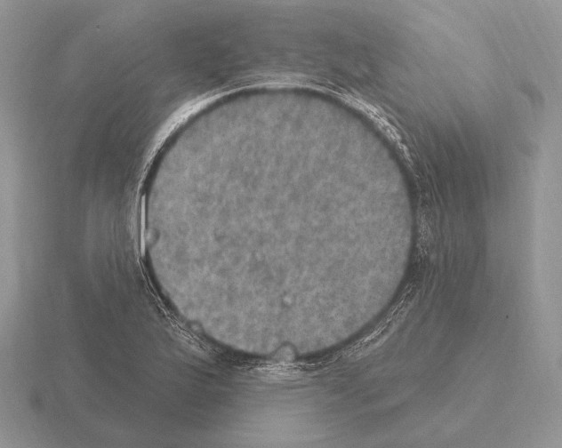 X0000115401175200912151514