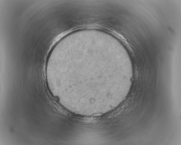 X0000115401176200912151514