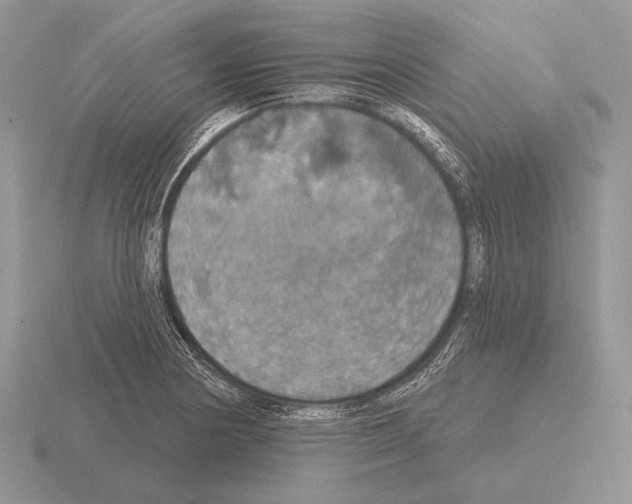 X0000115401178200912151514