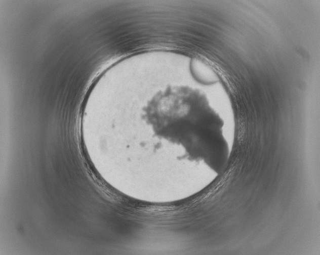 X0000115401179200912151514