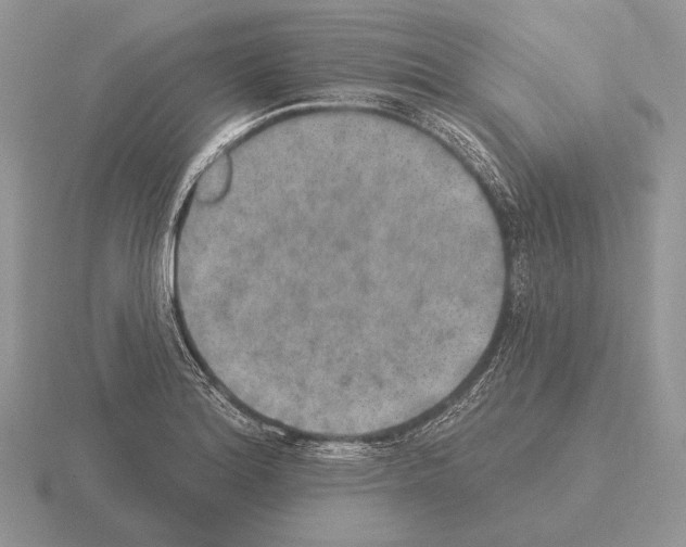 X0000115401180200912151514