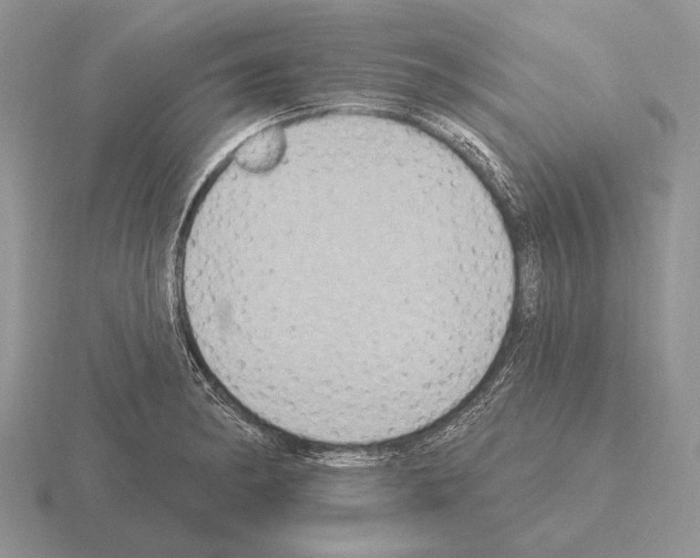 X0000115401182200912151514