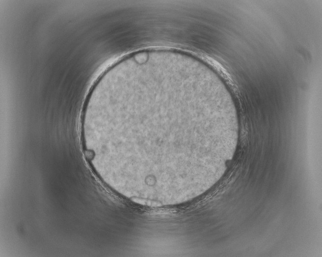 X0000115401183200912151514