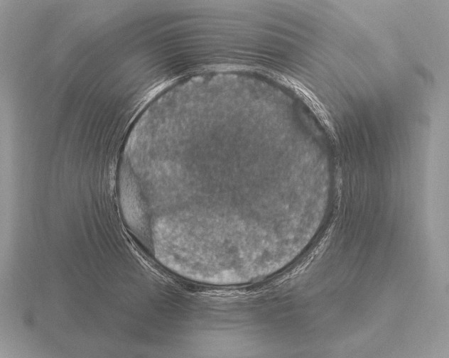 X0000115401185200912151514