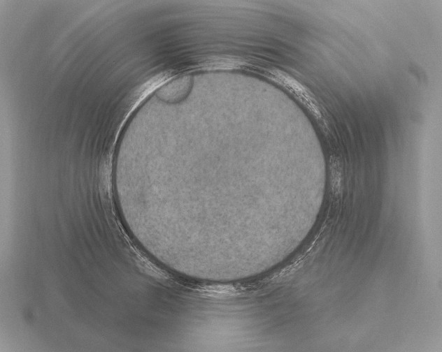 X0000115401186200912151514