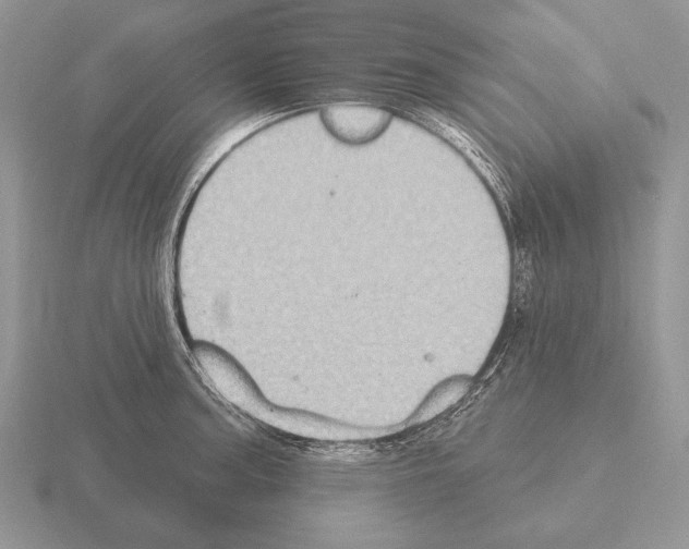 X0000115401187200912151514