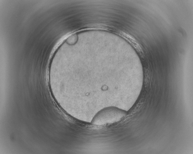 X0000115401188200912151514