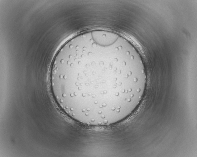 X0000115401190200912151514