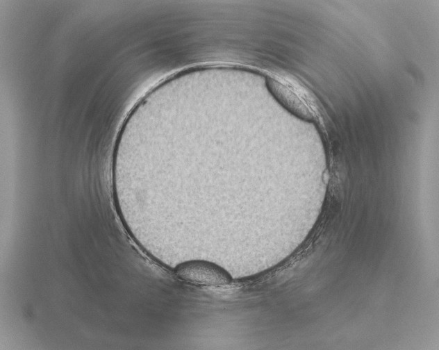 X0000115401191200912151514