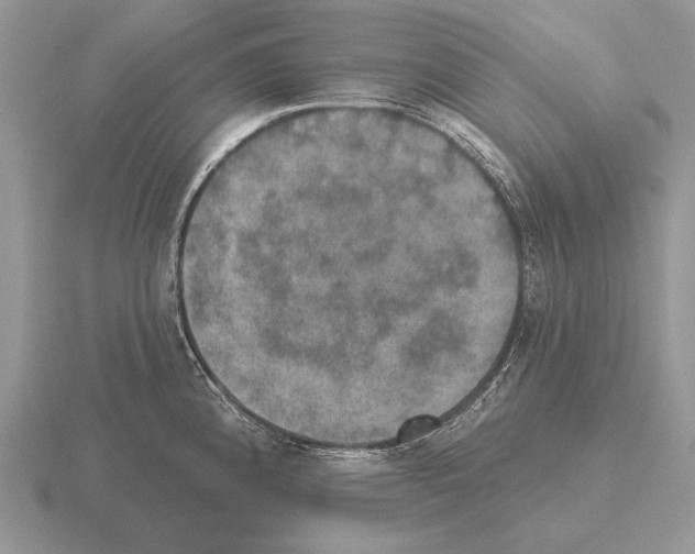 X0000115401192200912151514