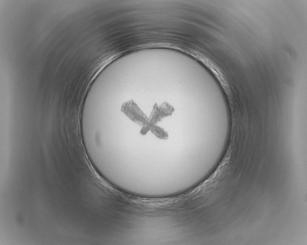 X0000115401193200912151514