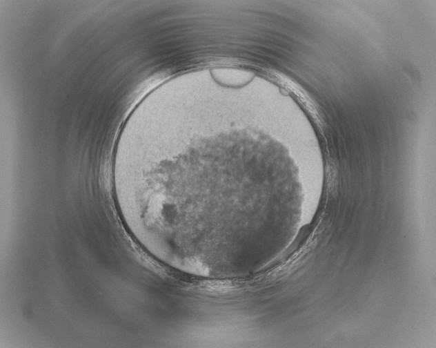 X0000115401194200912151514