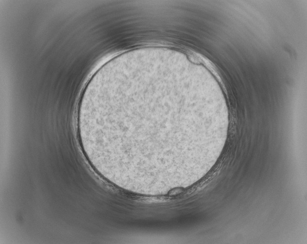 X0000115401195200912151514