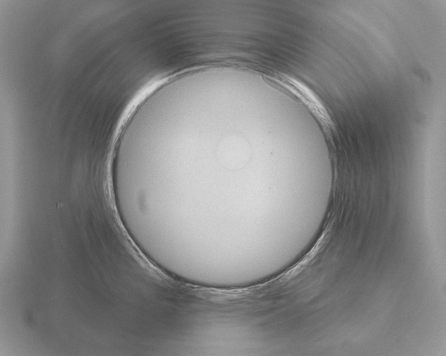 X0000115401196200912151514