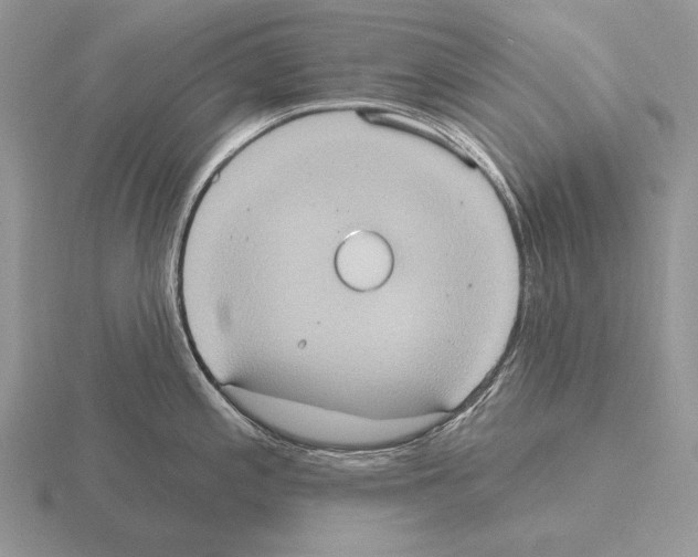 X0000115401197200912151514