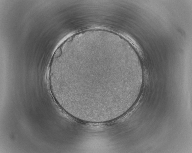 X0000115401198200912151514