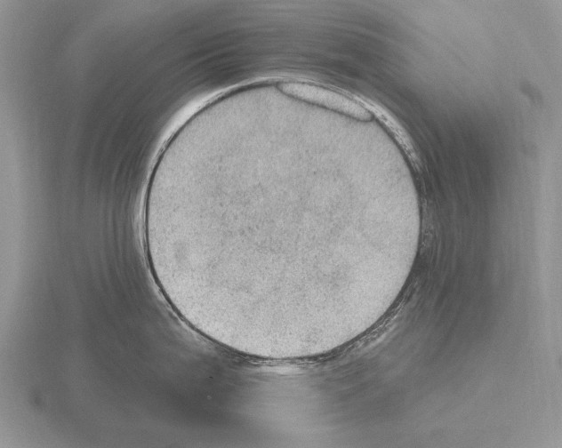 X0000115401199200912151514