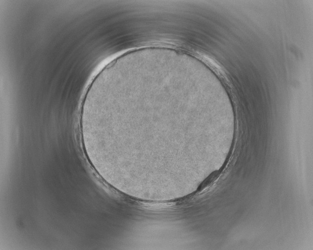 X0000115401200200912151514