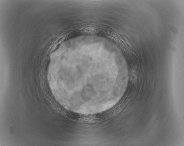 X0000115401201200912151513