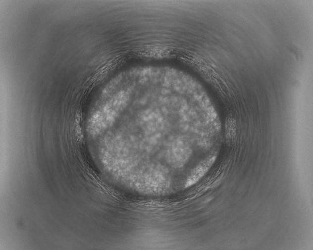 X0000115401202200912151513