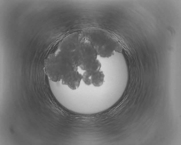 X0000115401204200912151514