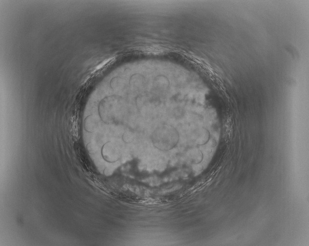 X0000115401205200912151514