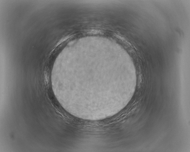 X0000115401206200912151514