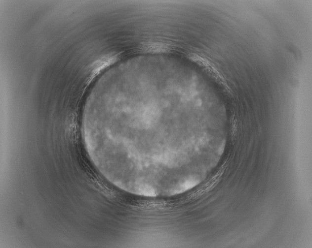 X0000115401210200912151514