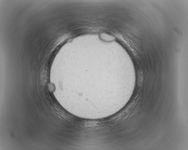 X0000115401211200912151514