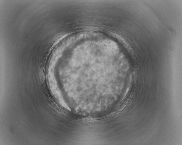 X0000115401212200912151514